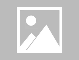 Zcash's Price Surge: What's Driving It vs. Bitcoin – What Reddit is Saying